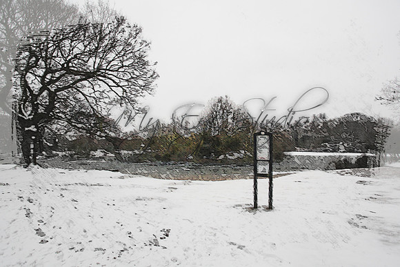 Hollow Ponds