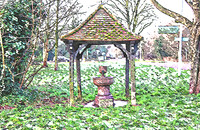 Woodford Green