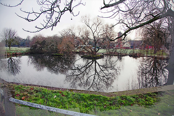 Woodford Pond