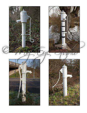 Woodford Pumps