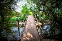 Roding Valley