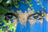 My Dog Sighs
